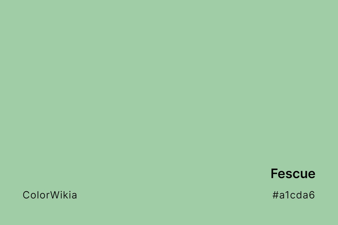 Fescue Color – #a1cda6: Codes and Complete Breakdown