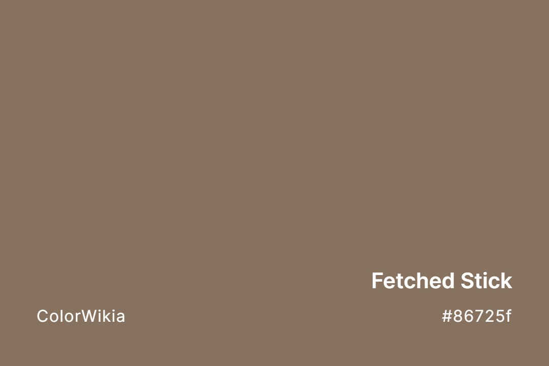 fetched stick color 86725f