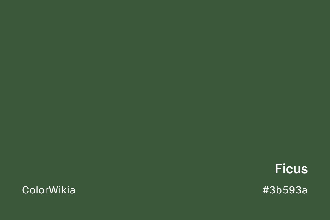 Ficus Color – #3b593a: Codes and Complete Breakdown