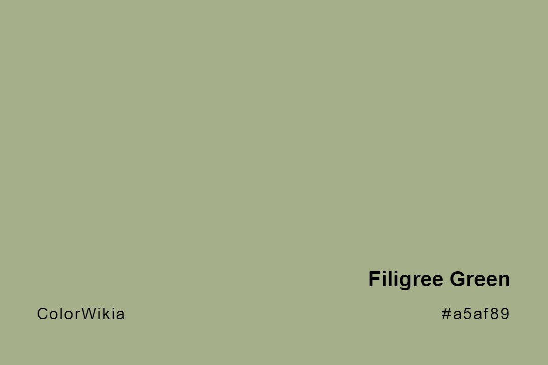 Filigree Green Color – #a5af89: Codes and Complete Breakdown