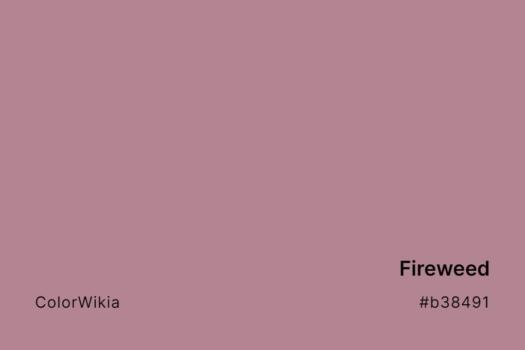 Fireweed Color – #b38491: Codes and Complete Breakdown