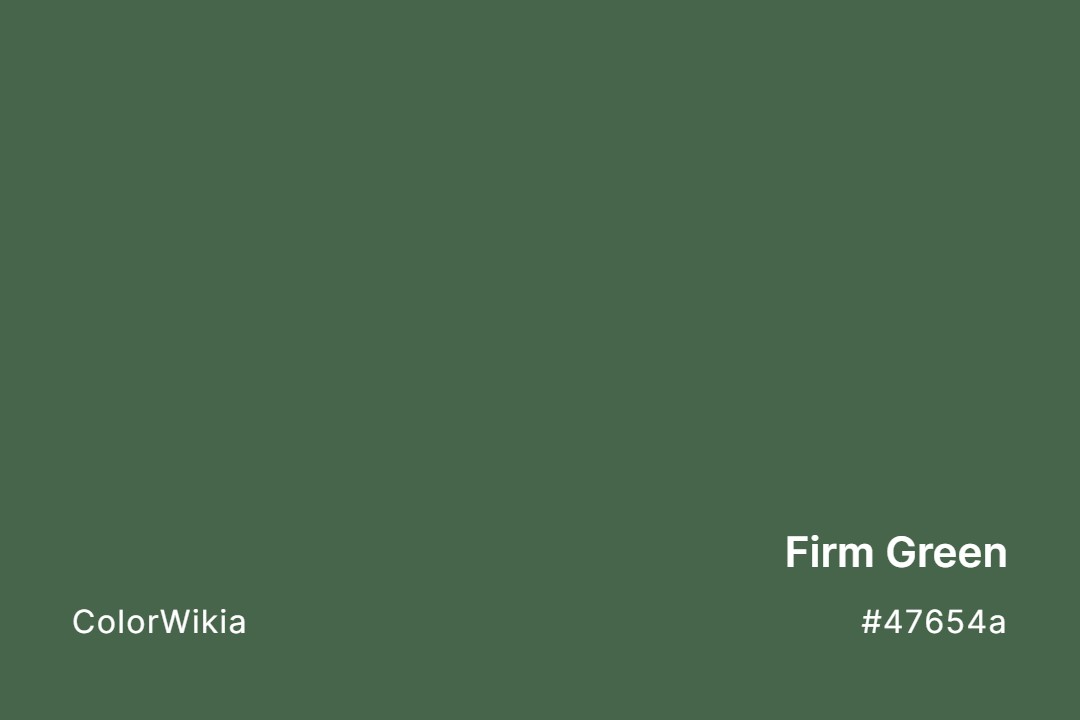 Firm Green Color – #47654a: Codes and Complete Breakdown