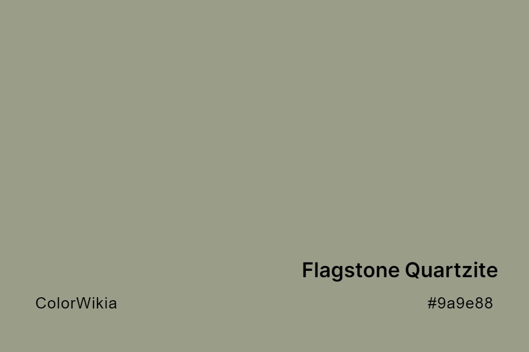 Flagstone Quartzite Color – #9a9e88: Codes and Complete Breakdown