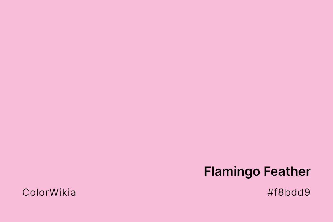 flamingo feather color f8bdd9