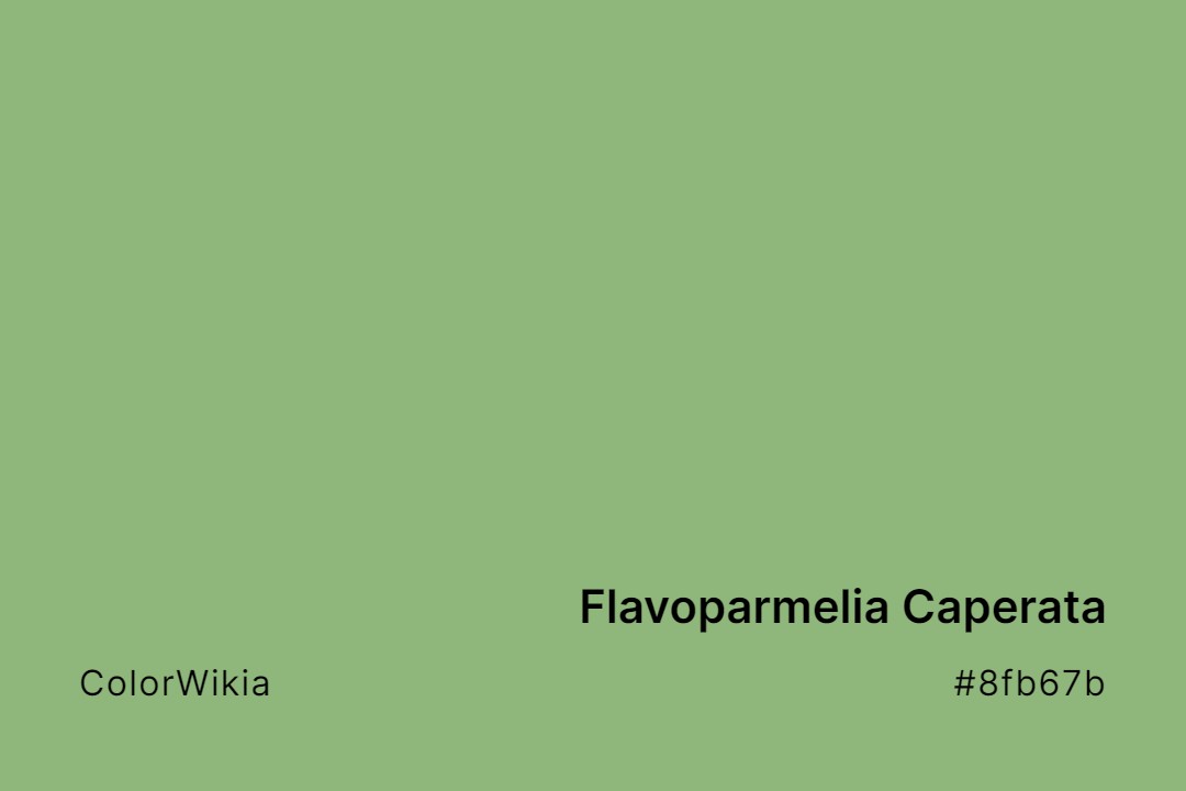 Flavoparmelia Caperata Color – #8fb67b: Codes and Complete Breakdown