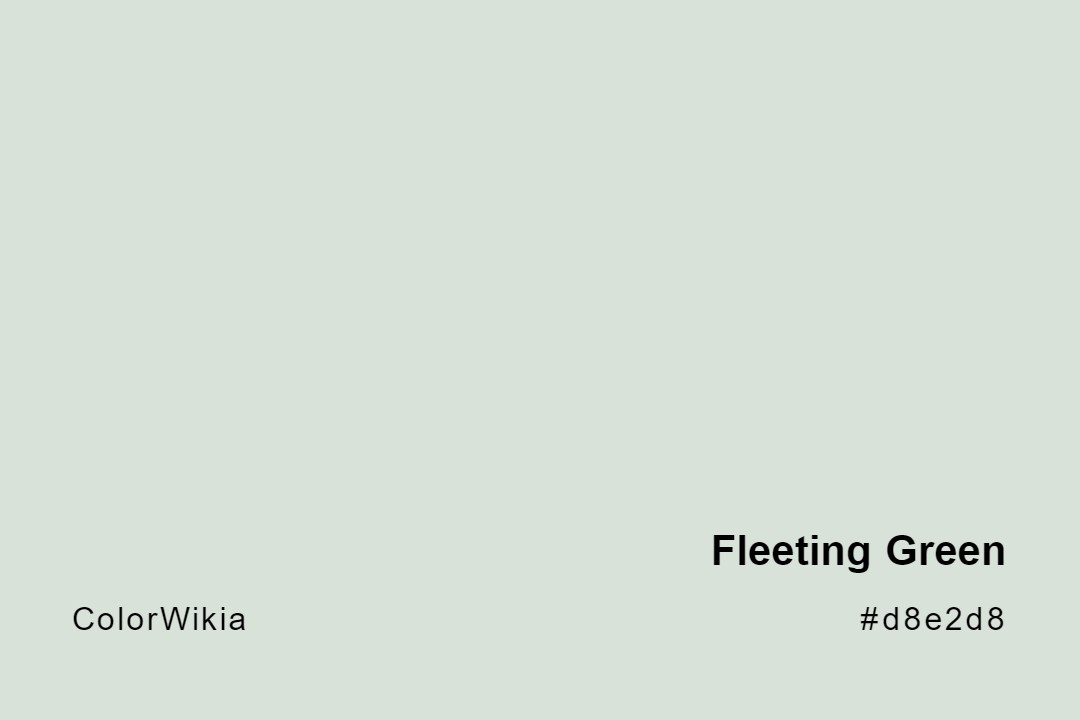 Fleeting Green Color – #d8e2d8: Codes and Complete Breakdown