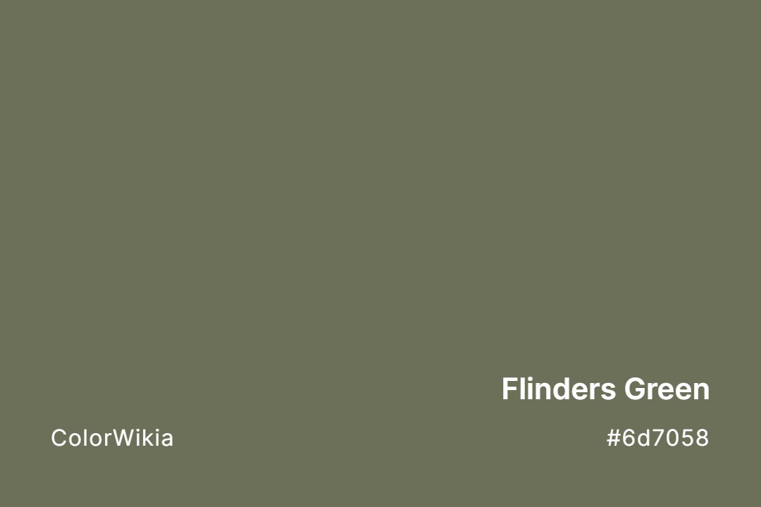 Flinders Green Color – #6d7058: Codes and Complete Breakdown