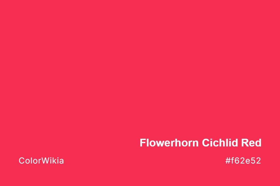 Flowerhorn Cichlid Red Color – #f62e52: Codes and Complete Breakdown