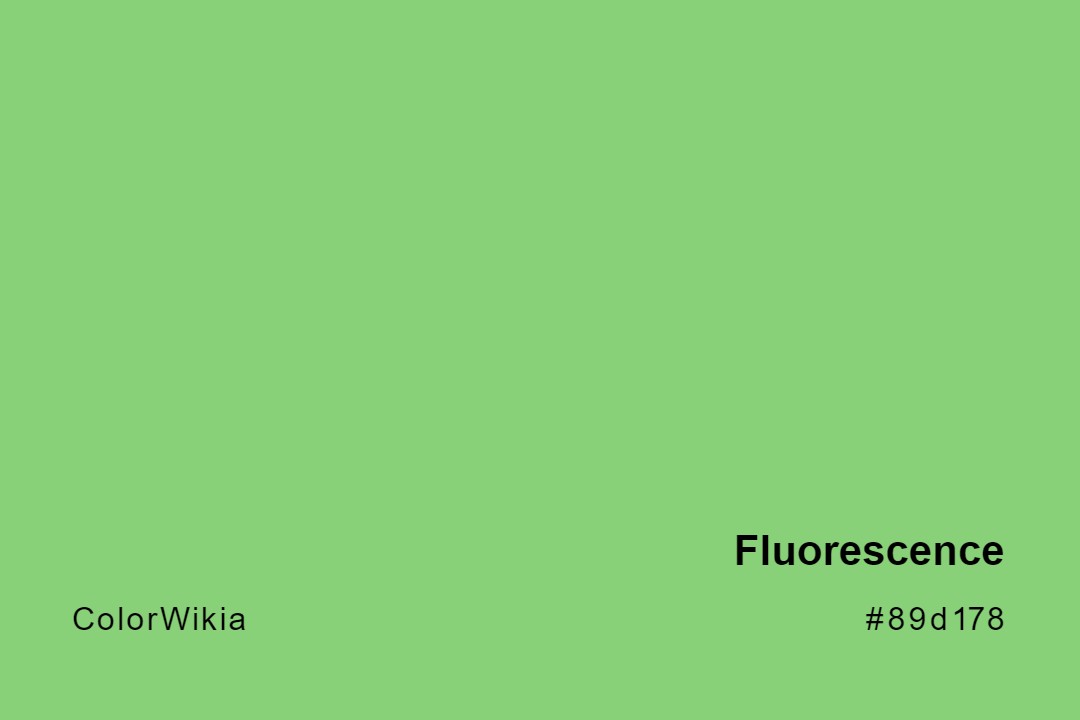Fluorescence Color – #89d178: Codes and Complete Breakdown
