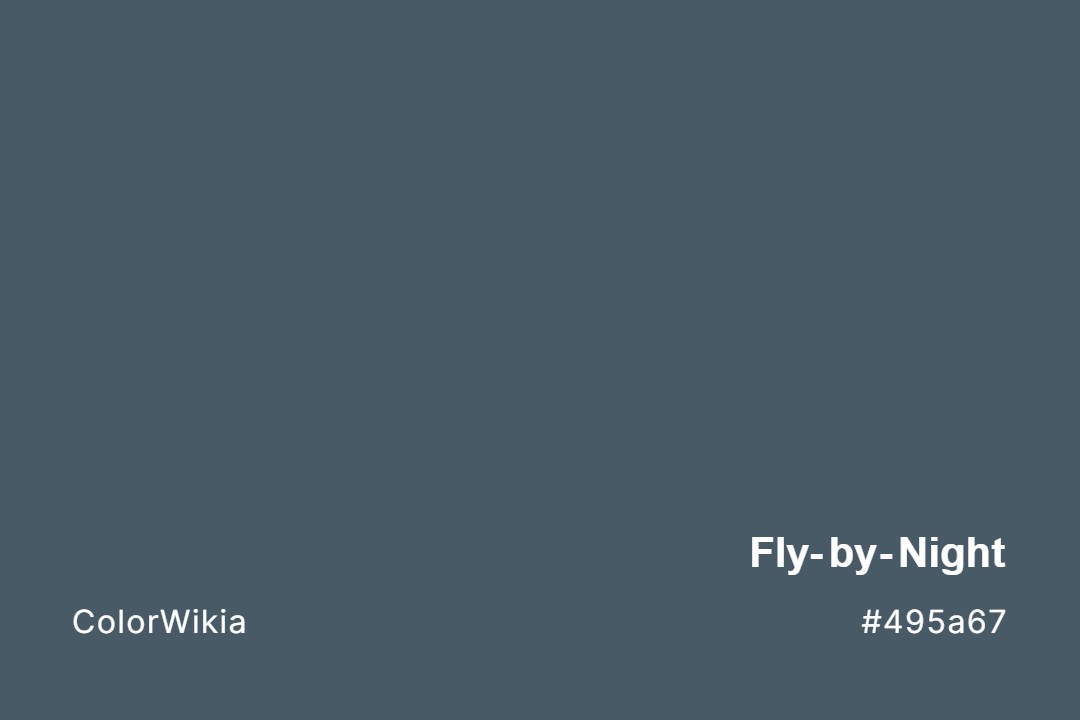 Fly-by-Night Color – #495a67: Codes and Complete Breakdown