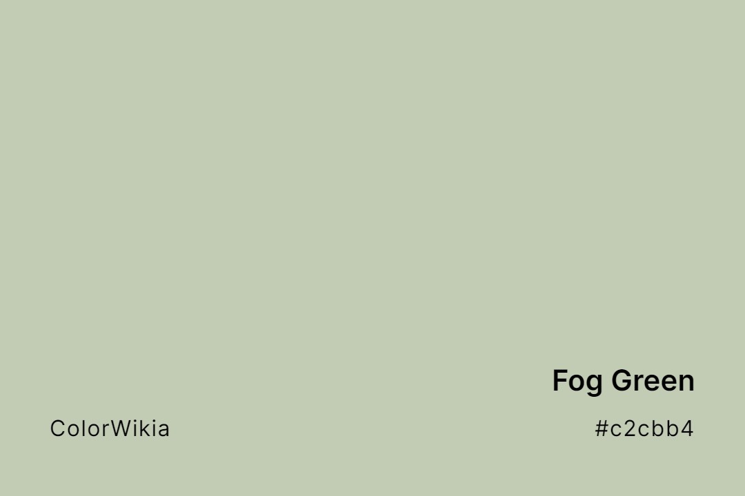 Fog Green Color – #c2cbb4: Codes and Complete Breakdown