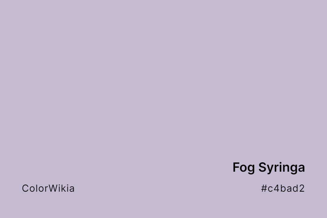 Fog Syringa Color – #c4bad2: Codes and Complete Breakdown