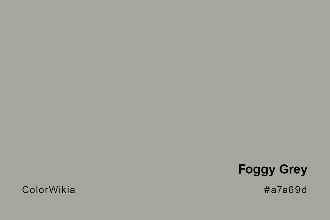 Foggy Grey Color – #a7a69d: Codes and Complete Breakdown