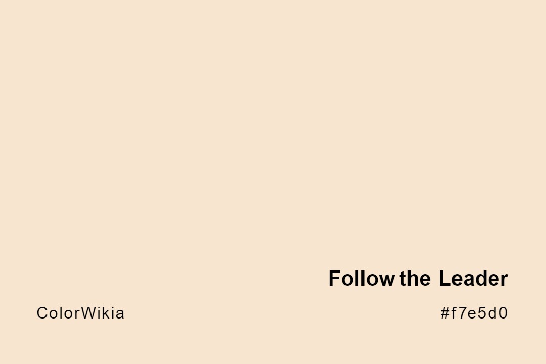 Follow the Leader Color – #f7e5d0: Codes and Complete Breakdown