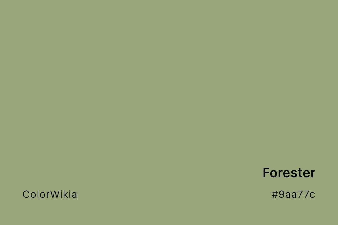 Forester Color – #9aa77c: Codes and Complete Breakdown