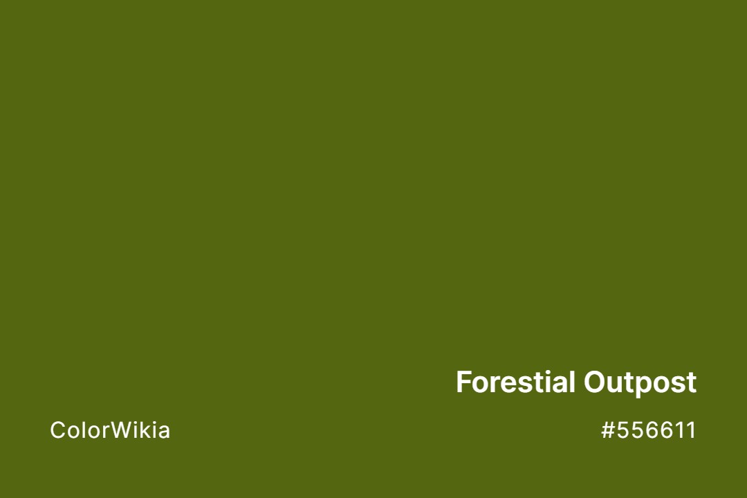 Forestial Outpost Color – #556611: Codes and Complete Breakdown