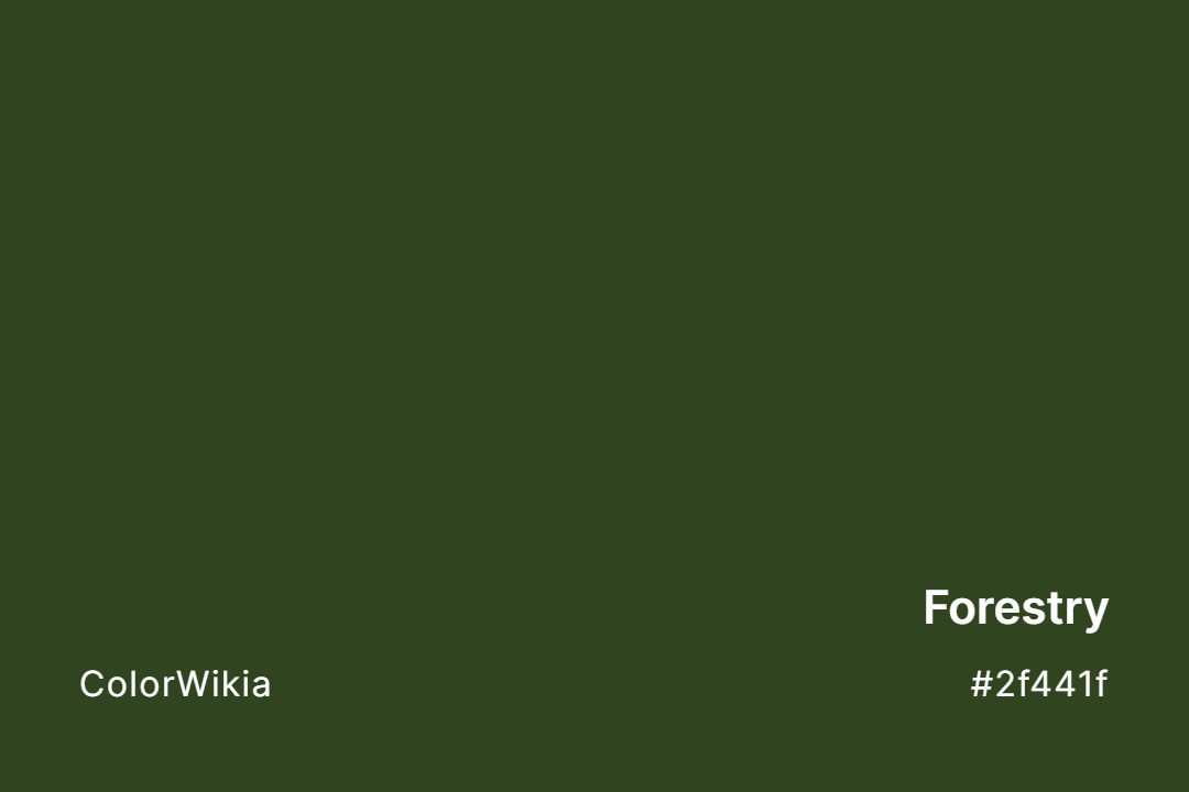 Forestry Color – #2f441f: Codes and Complete Breakdown