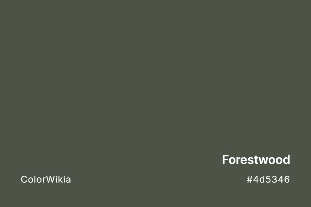 Forestwood Color – #4d5346: Codes and Complete Breakdown