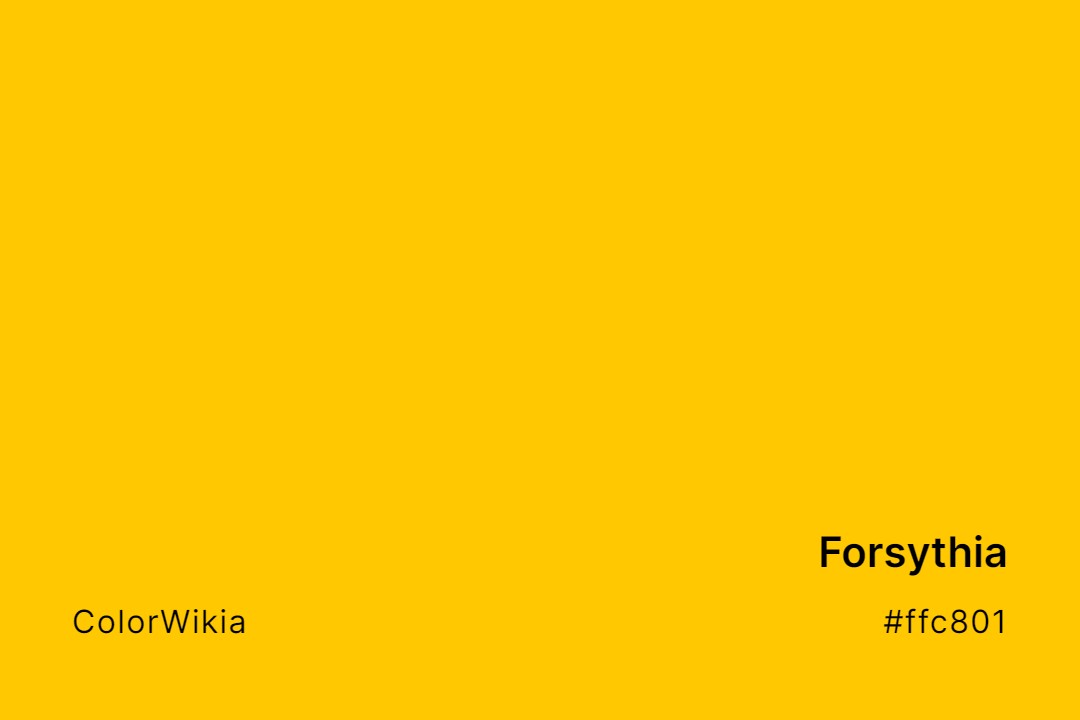 Forsythia Color – #ffc801: Codes and Complete Breakdown