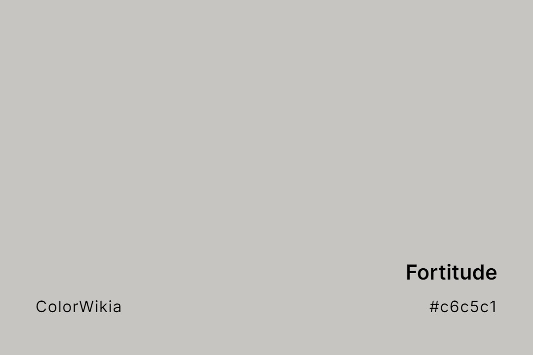Fortitude Color – #c6c5c1: Codes and Complete Breakdown