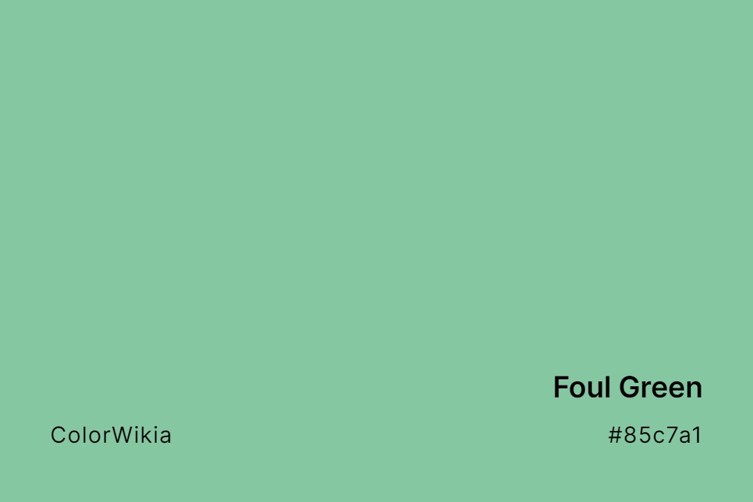Foul Green Color – #85c7a1: Codes and Complete Breakdown