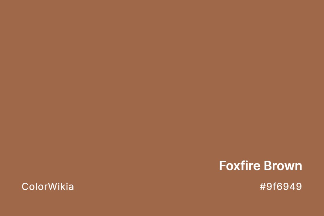 Foxfire Brown Color – #9f6949: Codes and Complete Breakdown