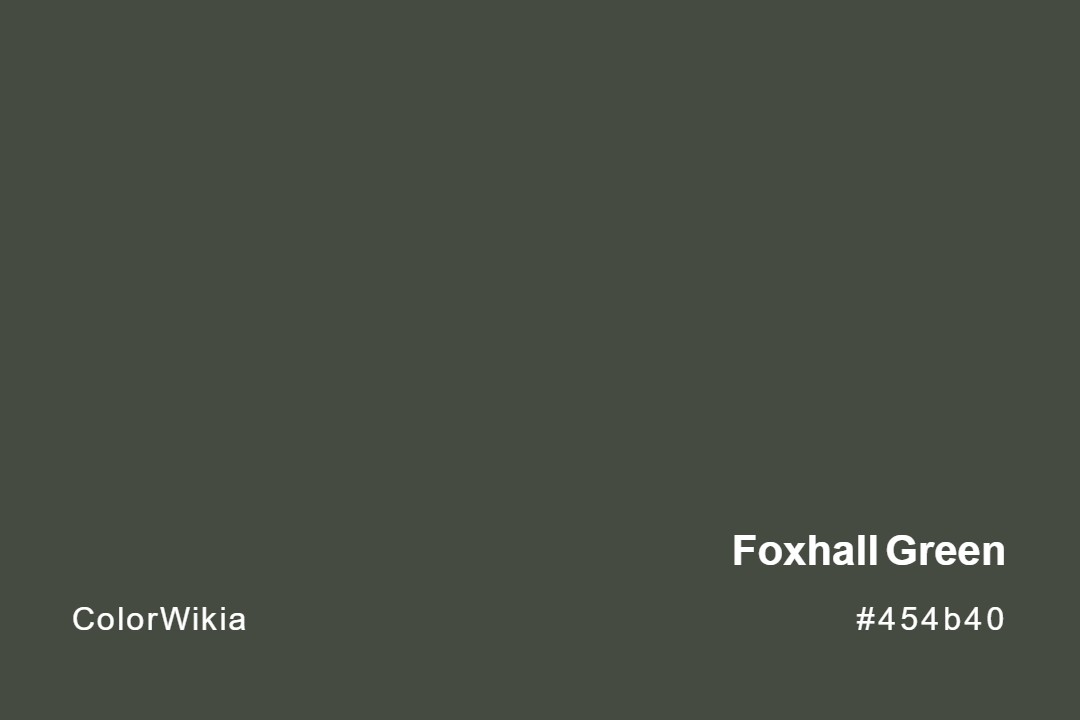 Foxhall Green Color – #454b40: Codes and Complete Breakdown