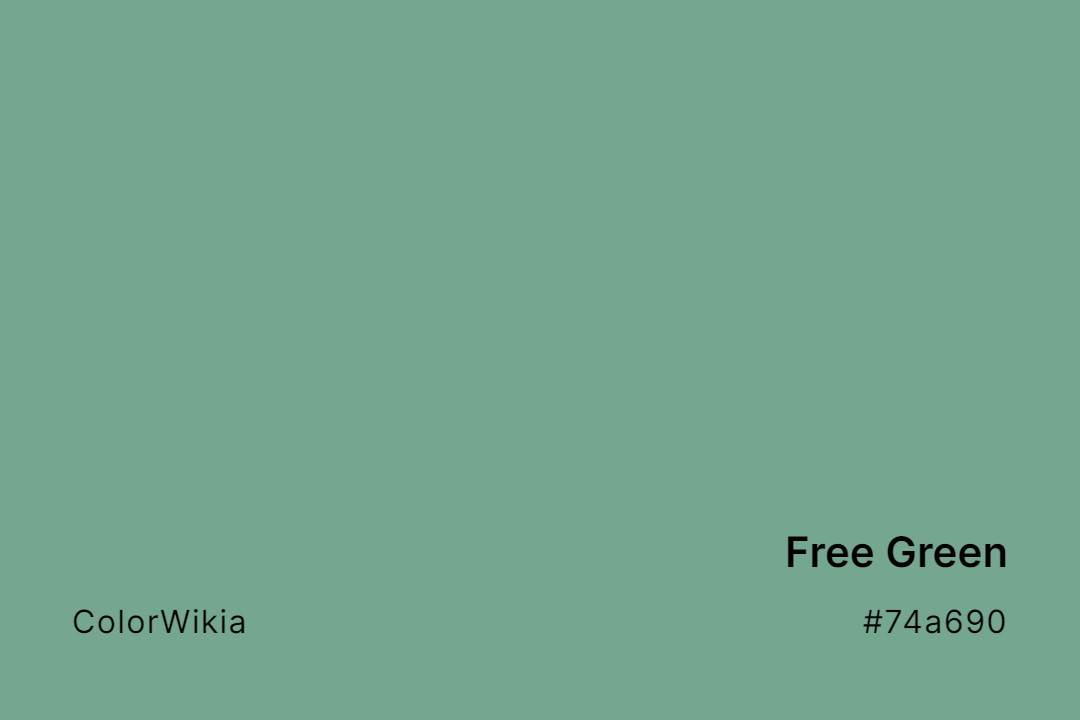 Free Green Color – #74a690: Codes and Complete Breakdown