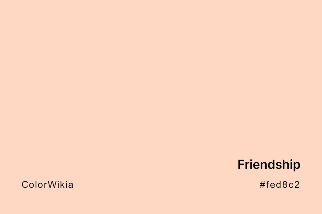 Friendship Color – #fed8c2: Codes and Complete Breakdown