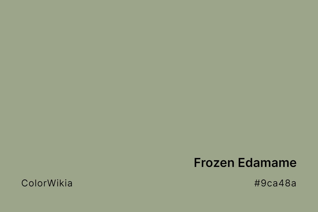 Frozen Edamame Color – #9ca48a: Codes and Complete Breakdown