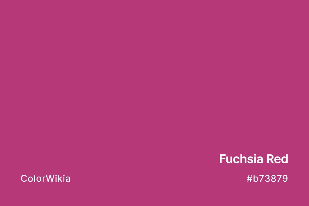 Fuchsia Red Color – #b73879: Codes and Complete Breakdown