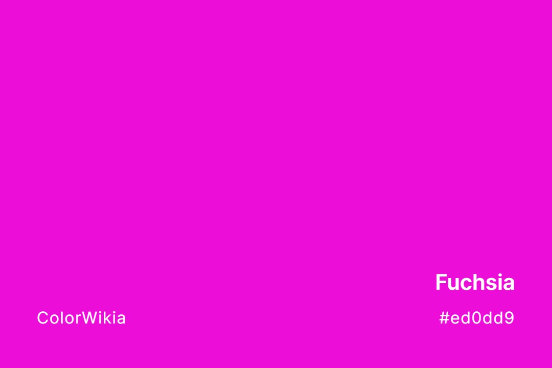Fuchsia Color – #ed0dd9: Codes and Complete Breakdown
