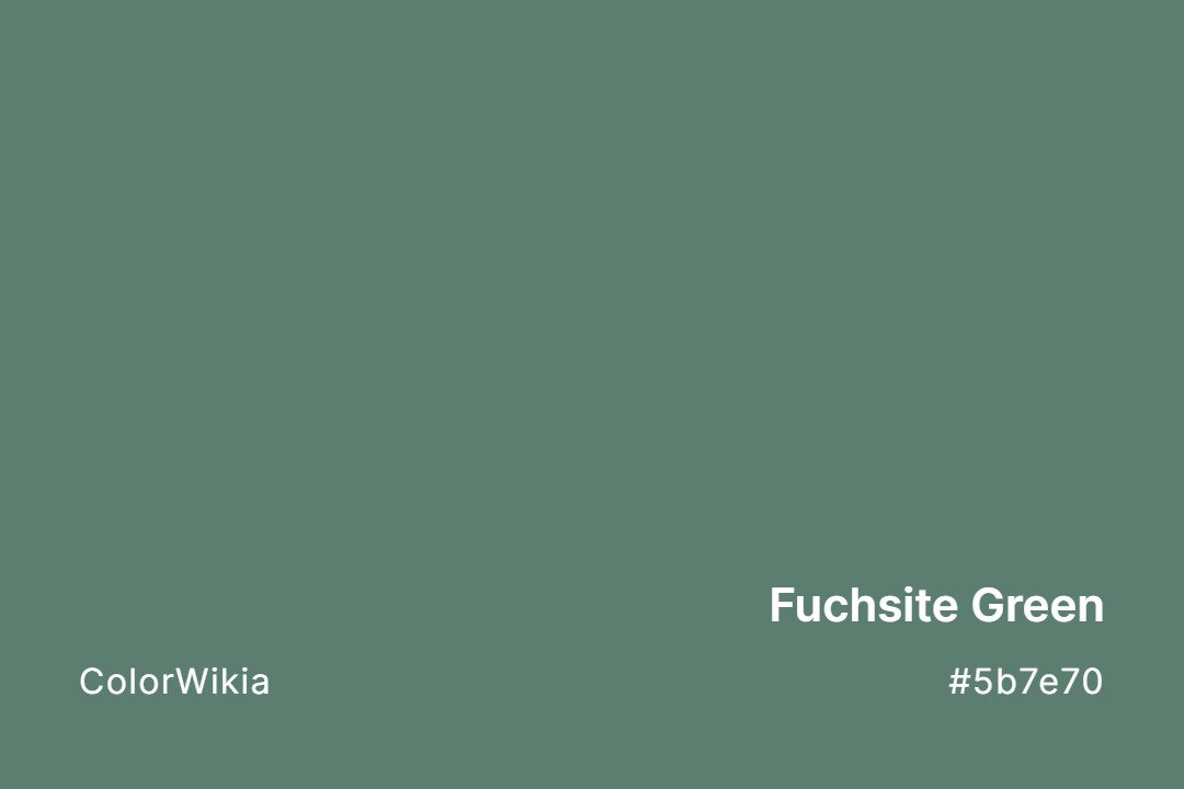 Fuchsite Green Color – #5b7e70: Codes and Complete Breakdown
