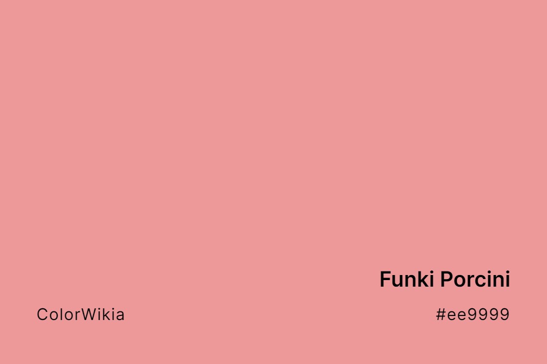 funki porcini color ee9999