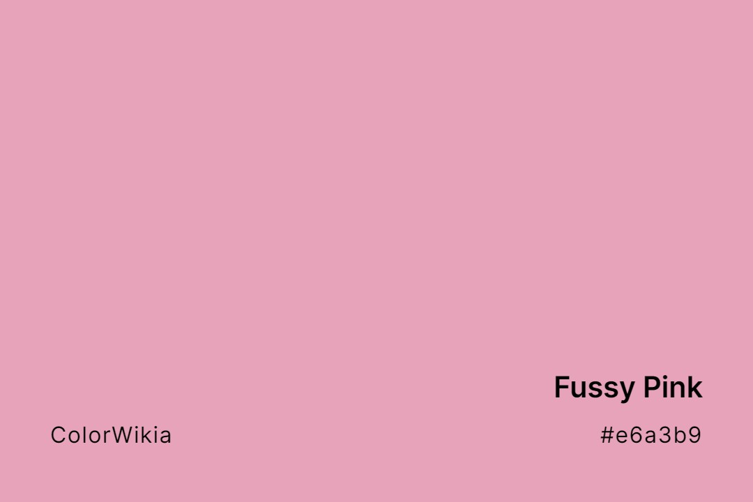 Fussy Pink Color – #e6a3b9: Codes and Complete Breakdown