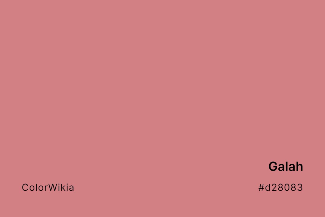 Galah Color – #d28083: Codes and Complete Breakdown