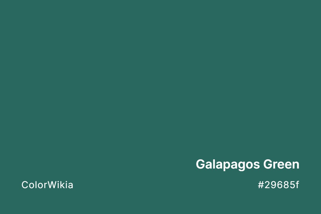 Galapagos Green Color – #29685f: Codes and Complete Breakdown