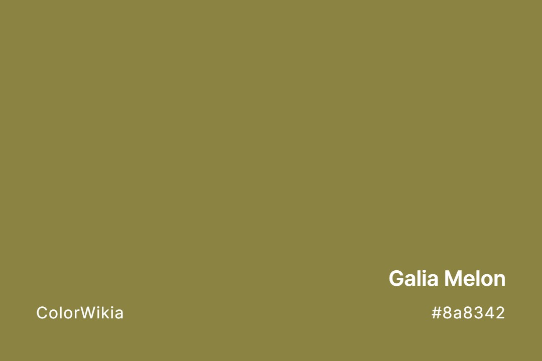 Galia Melon Color – #8a8342: Codes and Complete Breakdown