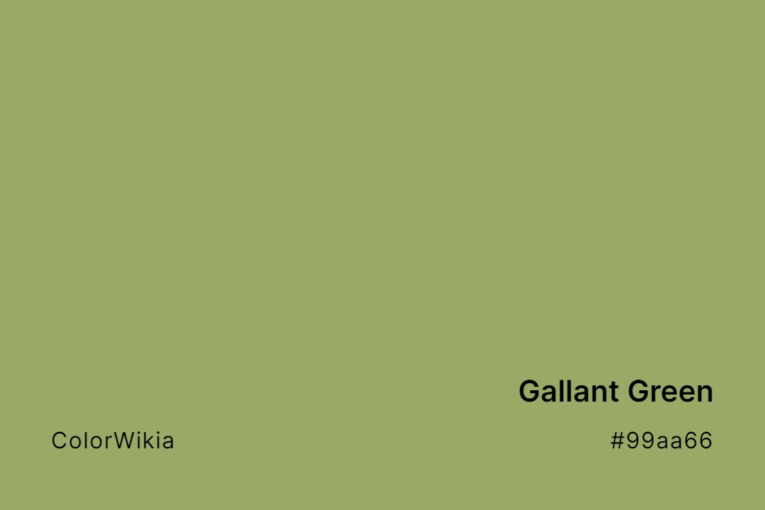 Gallant Green Color – #99aa66: Codes and Complete Breakdown