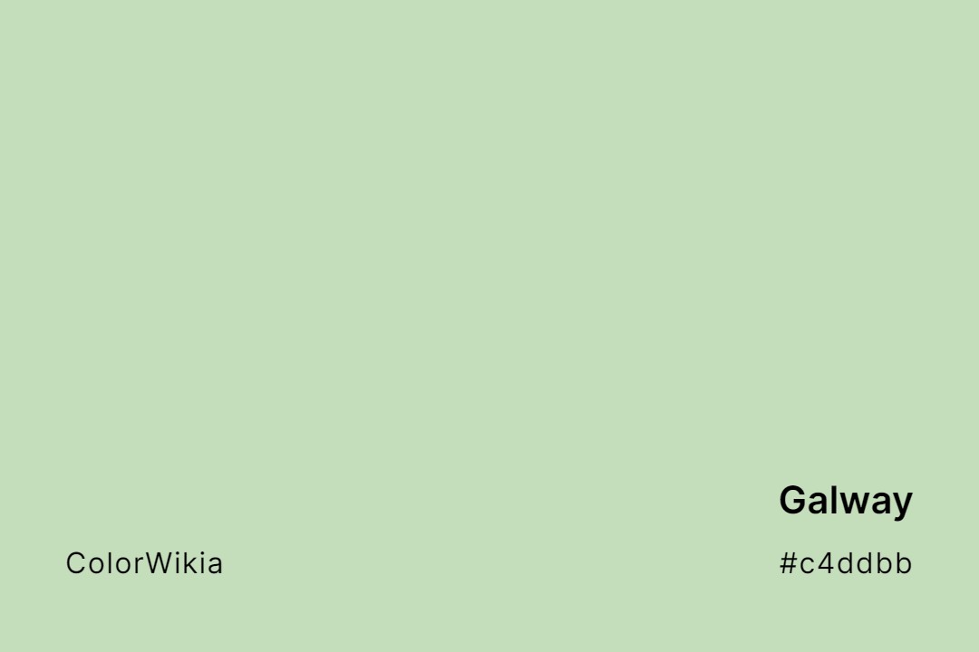 Galway Color – #c4ddbb: Codes and Complete Breakdown