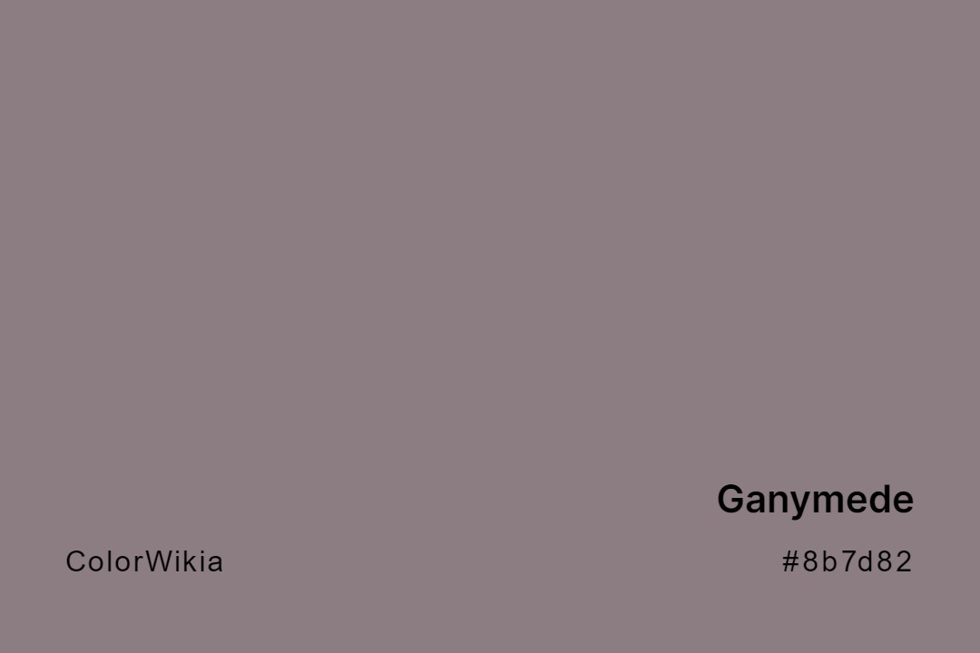 Ganymede Color – #8b7d82: Codes and Complete Breakdown