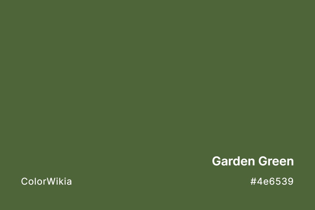 Garden Green Color – #4e6539: Codes and Complete Breakdown
