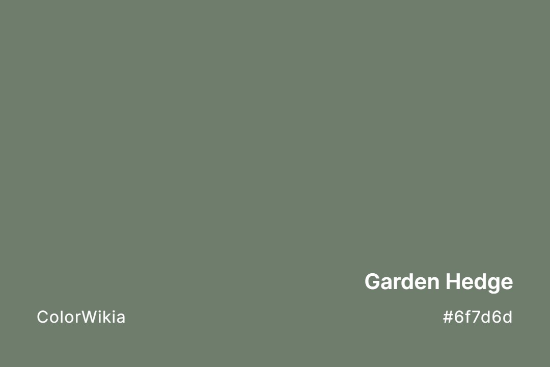 garden hedge color 6f7d6d