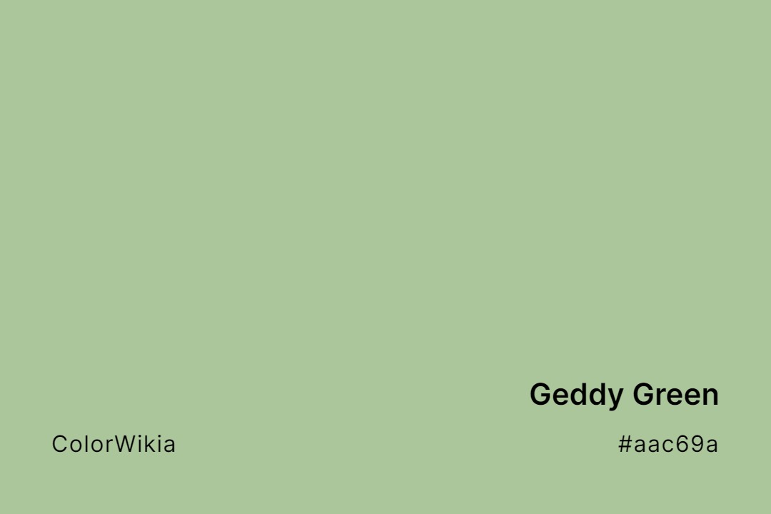 Geddy Green Color – #aac69a: Codes and Complete Breakdown