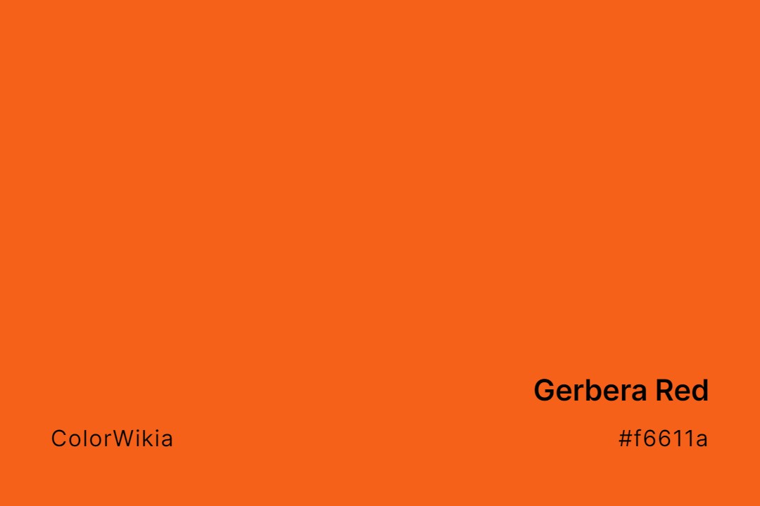Gerbera Red Color – #f6611a: Codes and Complete Breakdown