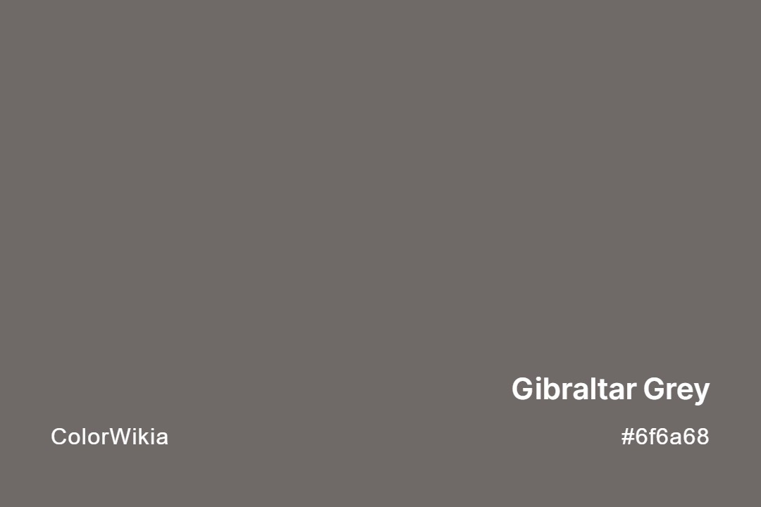 Gibraltar Grey Color – #6f6a68: Codes and Complete Breakdown
