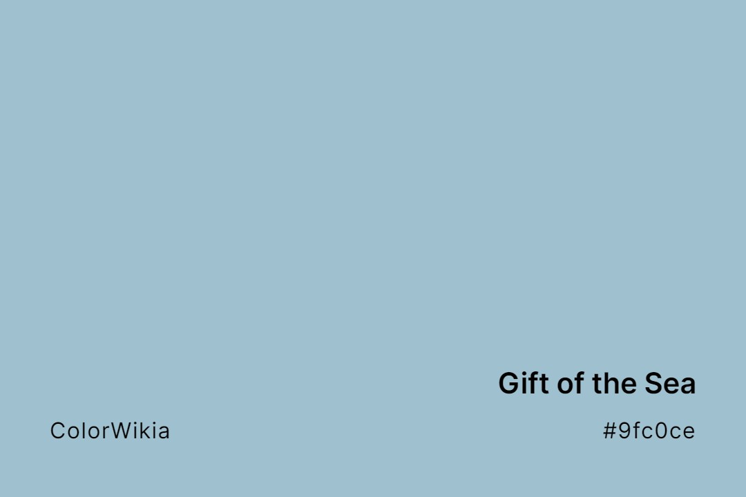 Gift of the Sea Color – #9fc0ce: Codes and Complete Breakdown