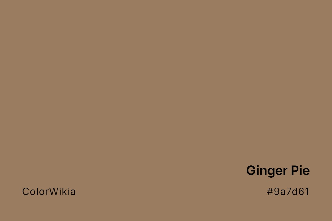 ginger pie color 9a7d61