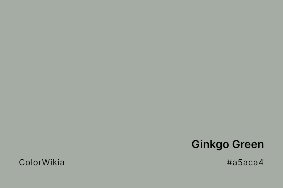 Ginkgo Green Color – #a5aca4: Codes and Complete Breakdown
