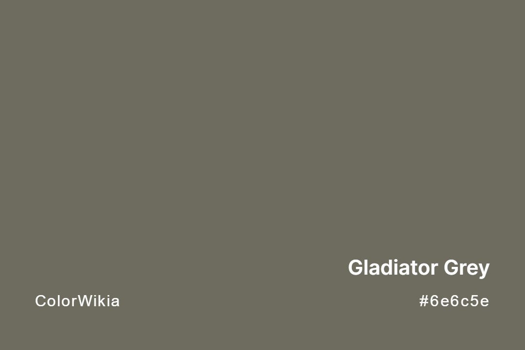 Gladiator Grey Color – #6e6c5e: Codes and Complete Breakdown